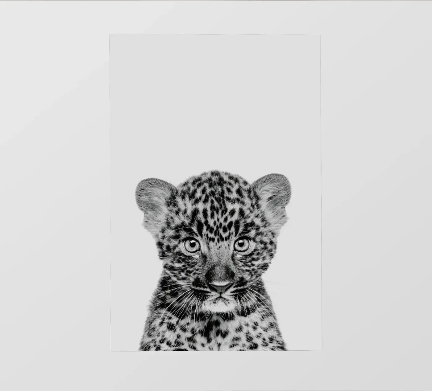 Leopard Classic PVC Plane von Paws & Claws
