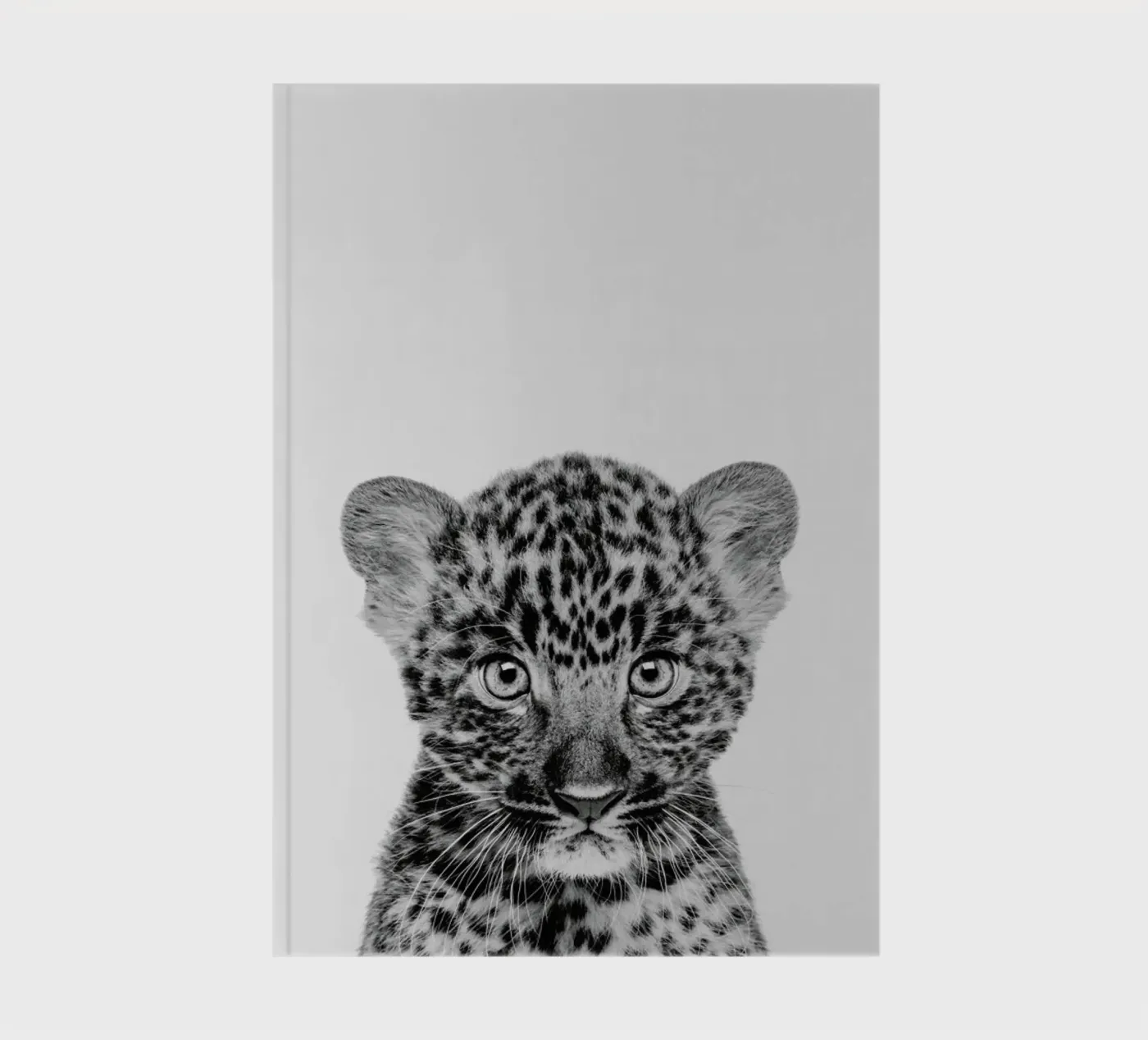 Leopard Classic notebook by Paws & Claws