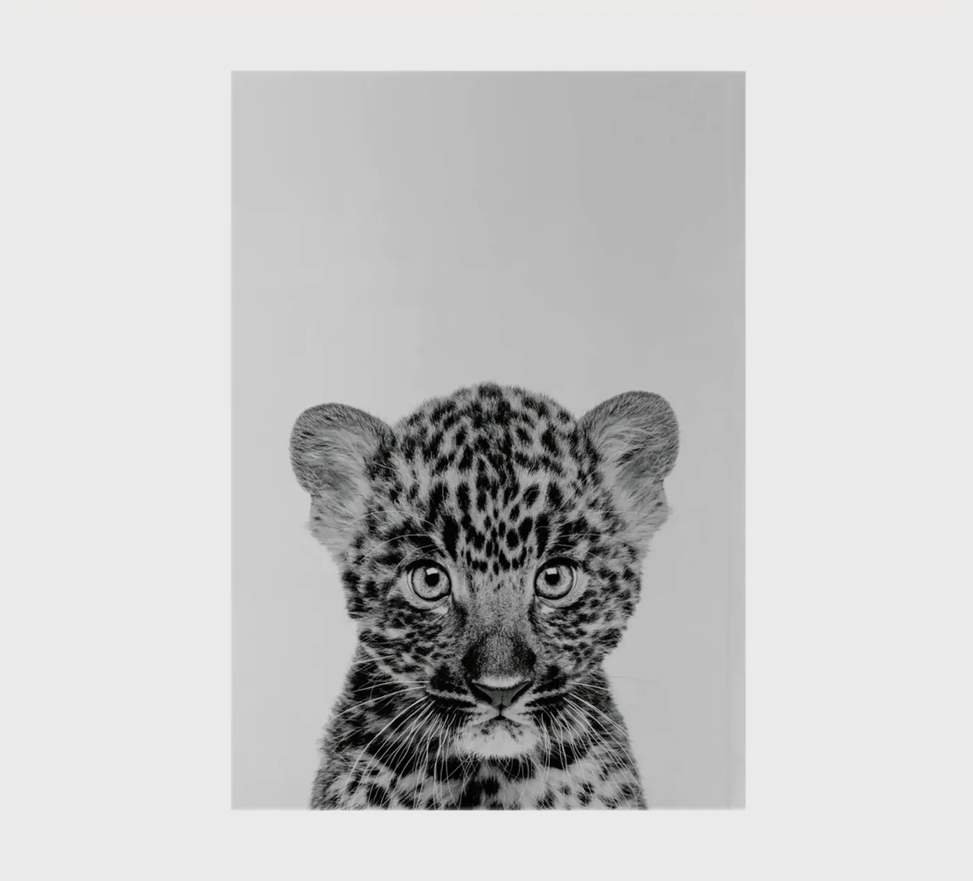 Leopard Classic notebook by Paws & Claws