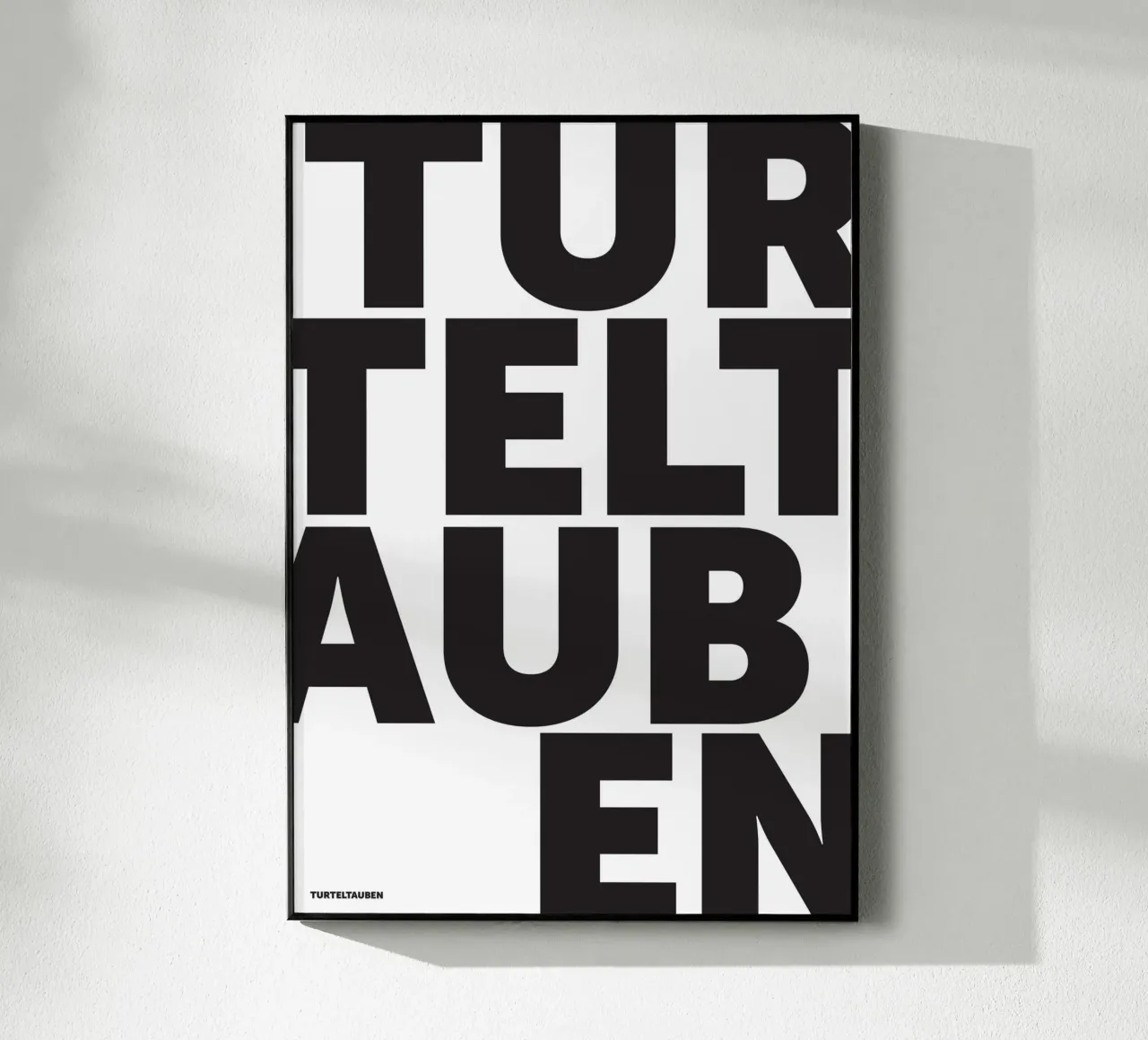 Turteltauben plexiglass da studio salü