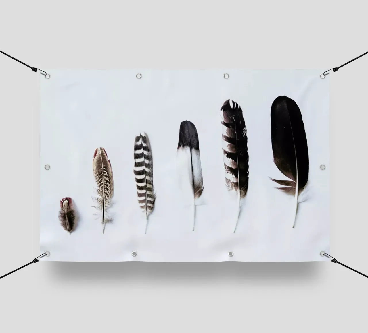 Feathers telo in pvc da Victoria Frost