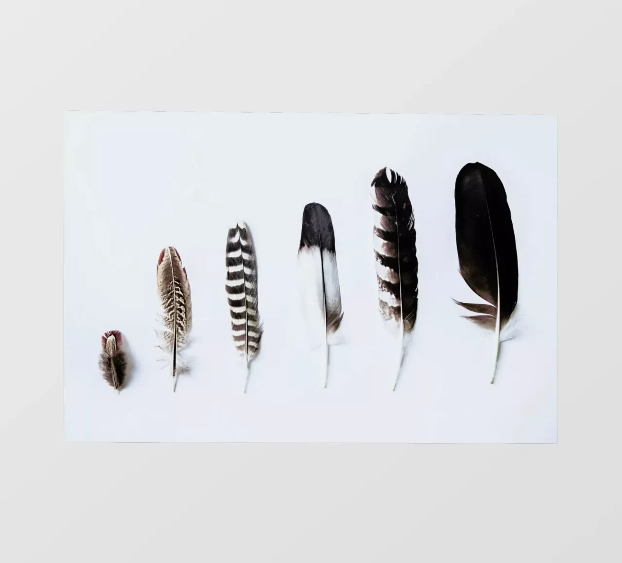 Feathers telo in pvc da Victoria Frost