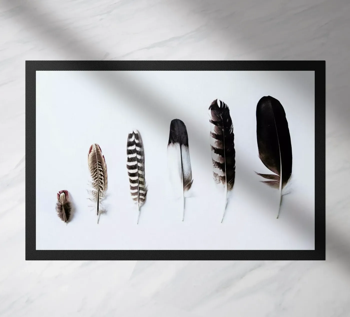 Feathers zerbino da Victoria Frost