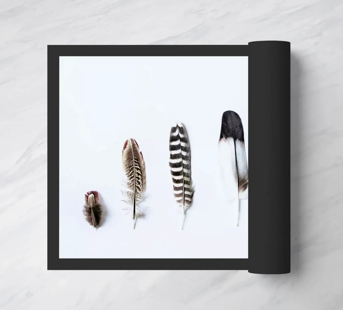 Feathers zerbino da Victoria Frost