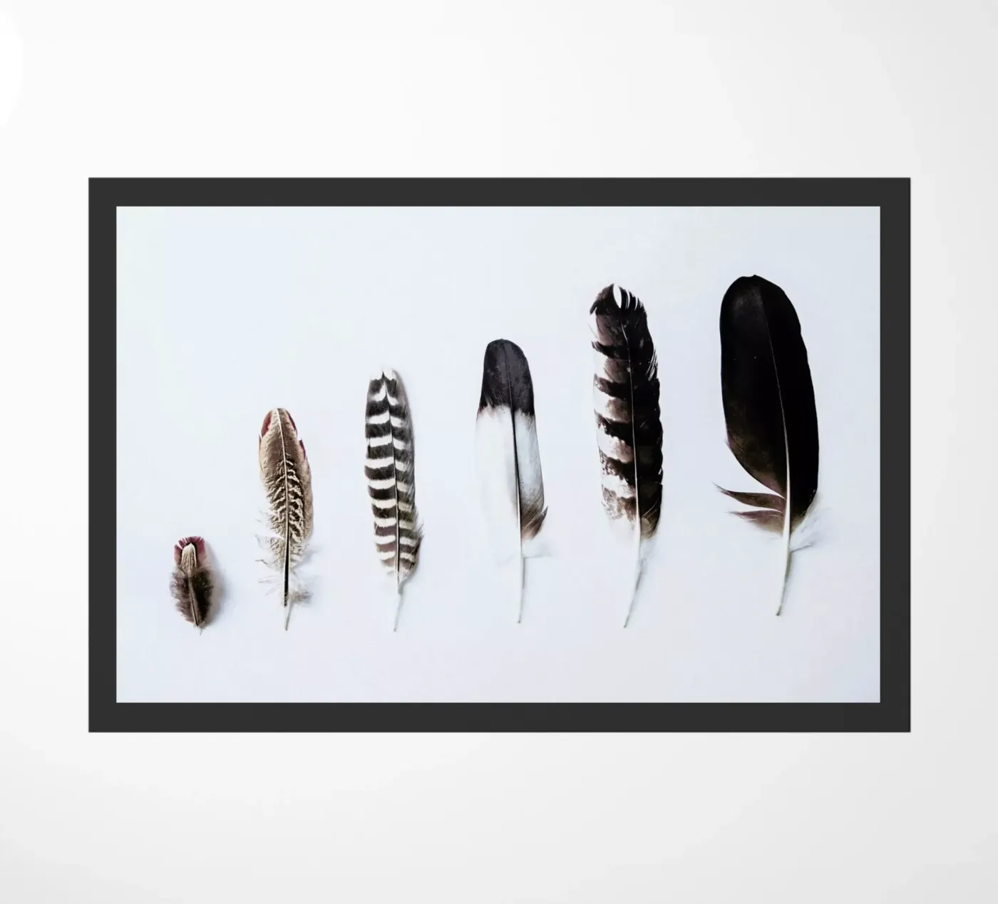 Feathers deurmat van Victoria Frost