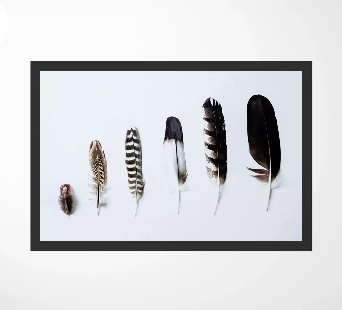 Feathers zerbino da Victoria Frost