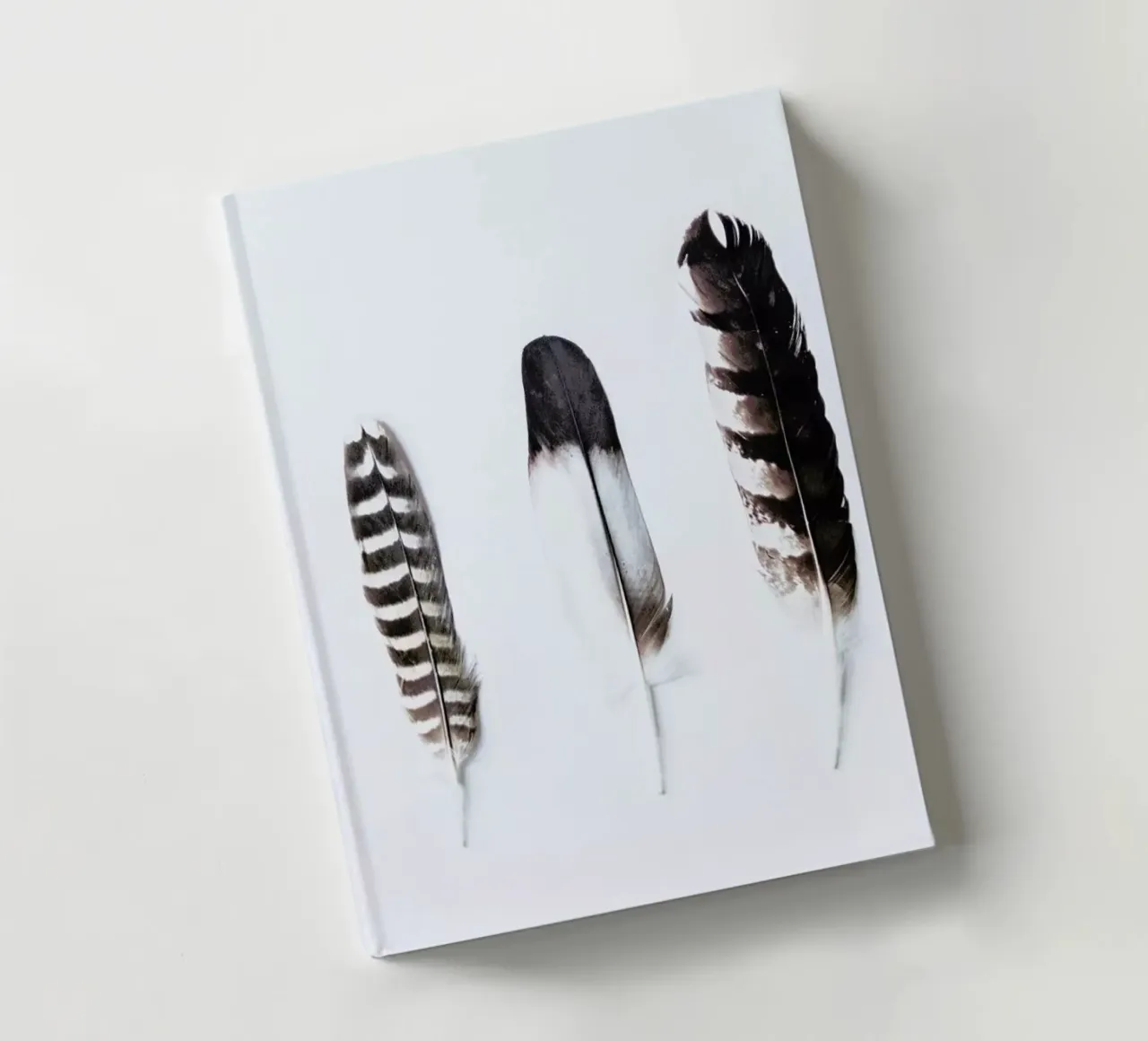 Feathers notebook by Victoria Frost