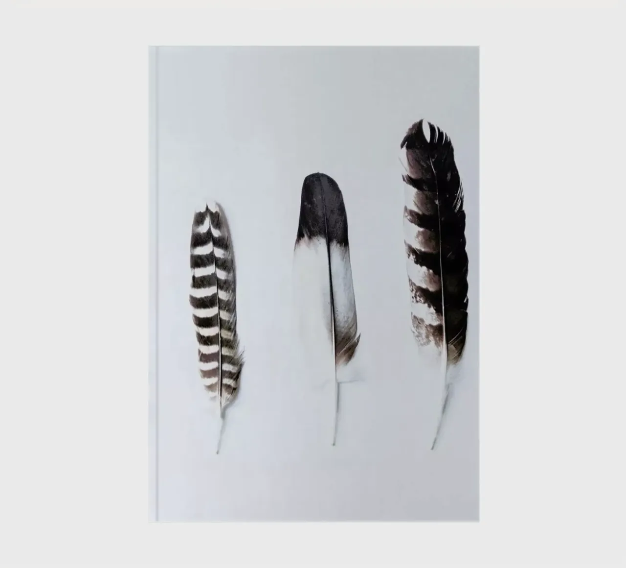 Feathers notebook by Victoria Frost