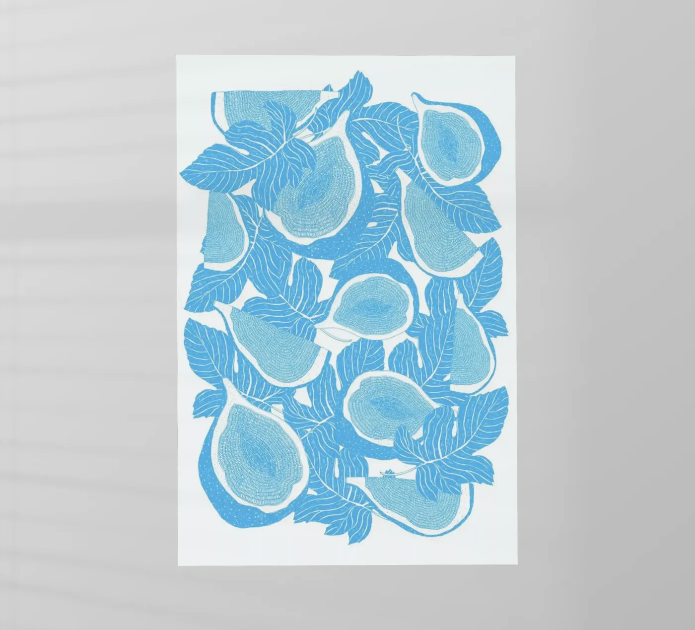 Feigen pellicola backlit da Eva Wünsch