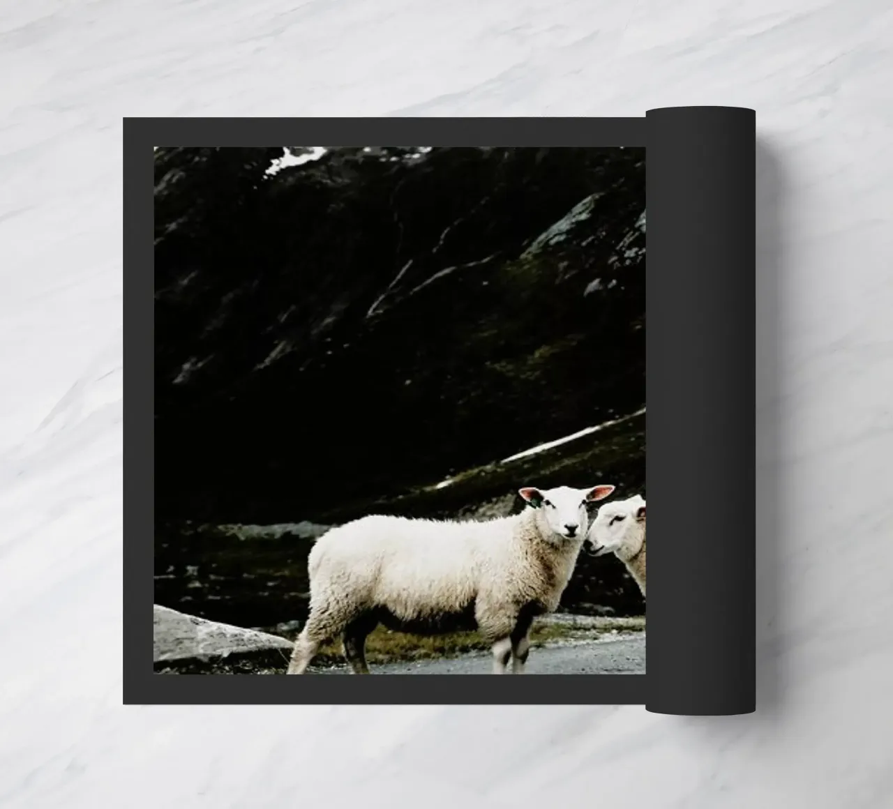 Sheepish @jochenwild zerbino da EyeEm Mobile GmbH