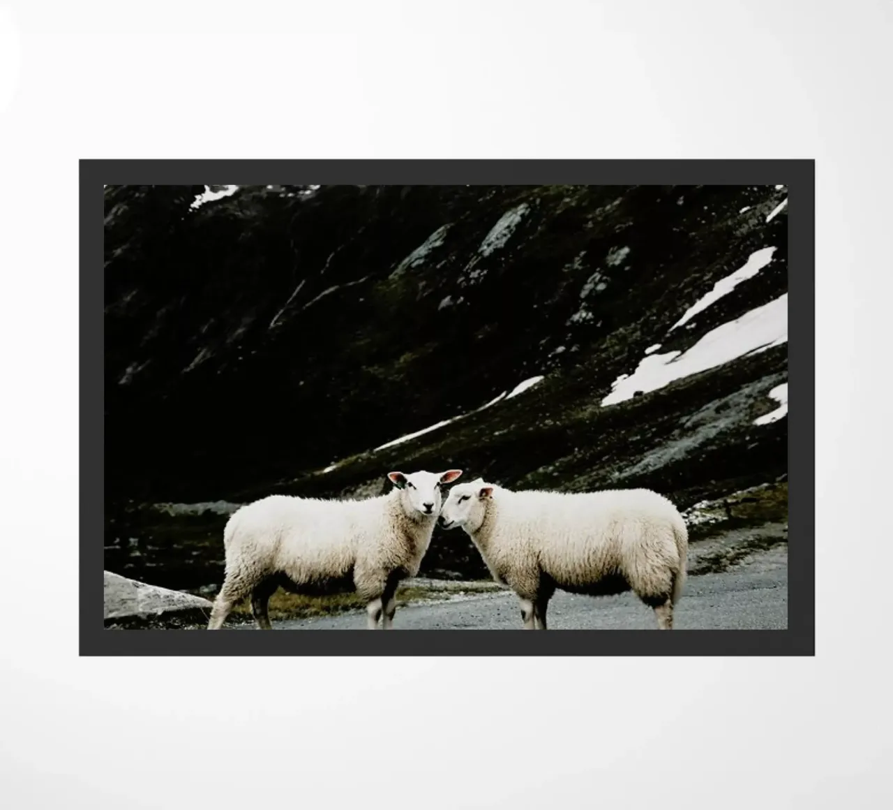 Sheepish @jochenwild zerbino da EyeEm Mobile GmbH
