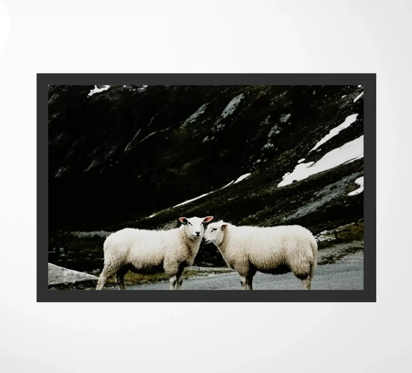 Sheepish @jochenwild doormat by EyeEm Mobile GmbH