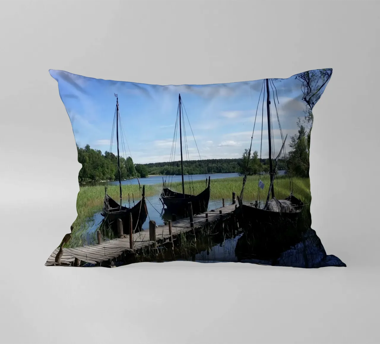 Vikingen kussen van Massimo Frascogna