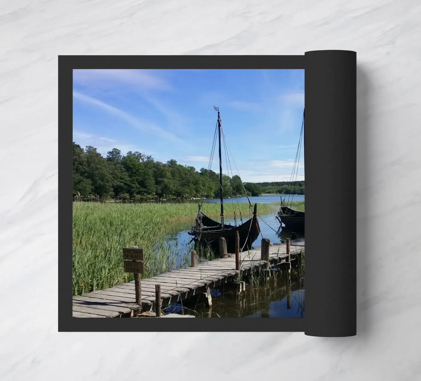 Vikings zerbino da Massimo Frascogna