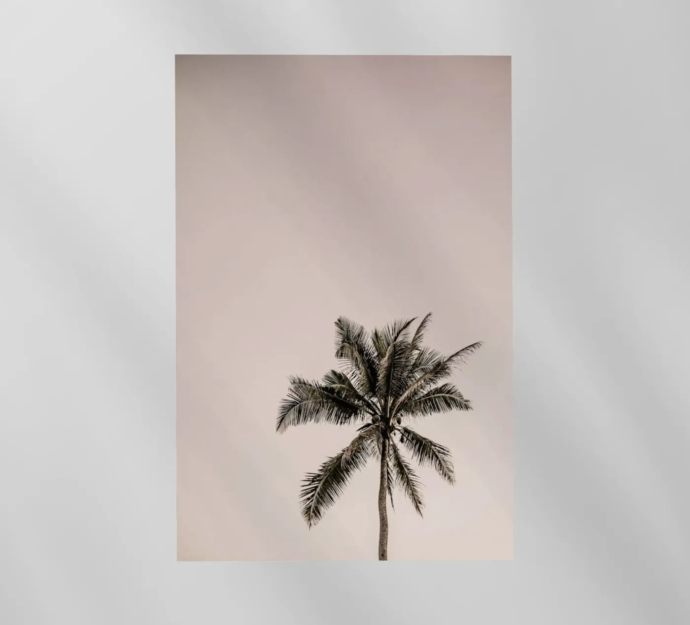 Joy pellicola backlit da Shot By Clint