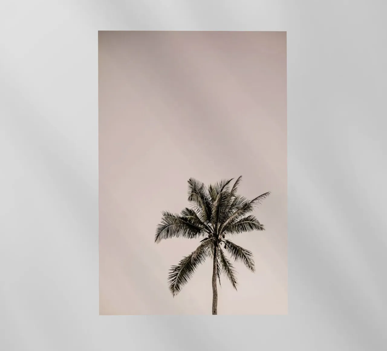 Joy pellicola backlit da Shot By Clint