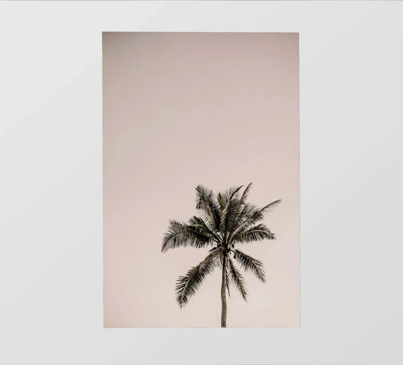 Joy pellicola backlit da Shot By Clint