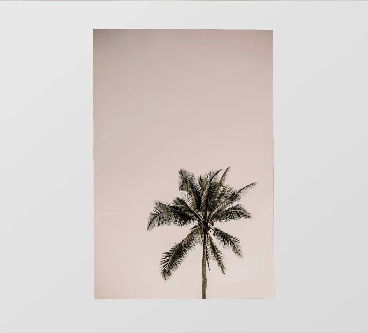 Joy pellicola backlit da Shot By Clint