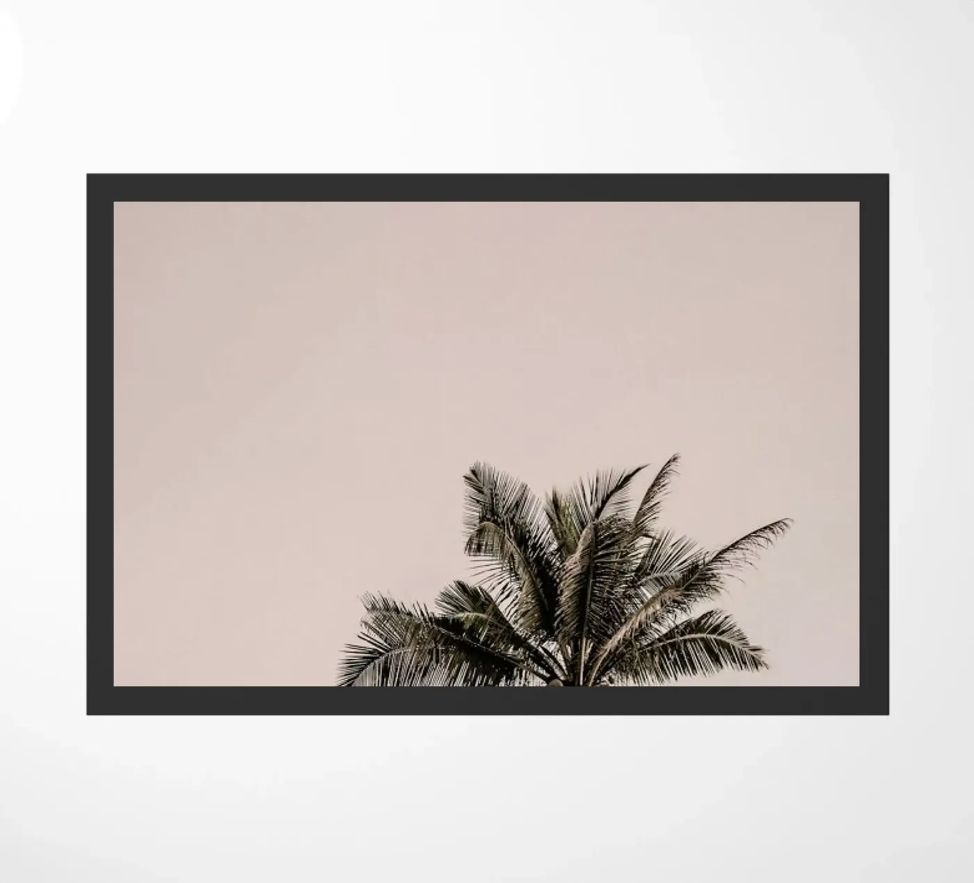 Joy zerbino da Shot By Clint