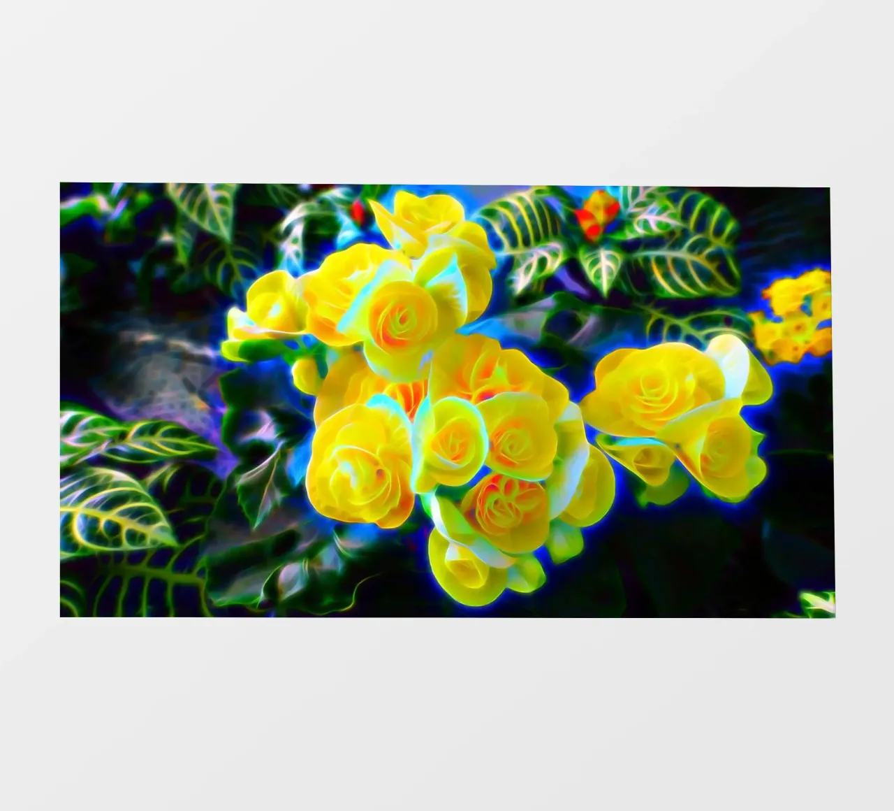 Fiori gialli telo in pvc da Massimo Frascogna