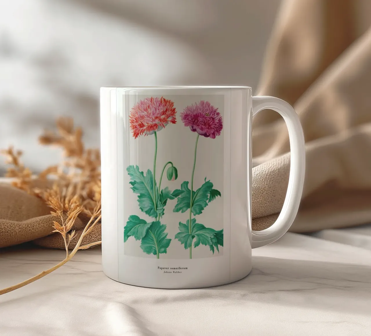 Johann Walther - Papaver Somniferum tazza in ceramica da ARTOTHEK