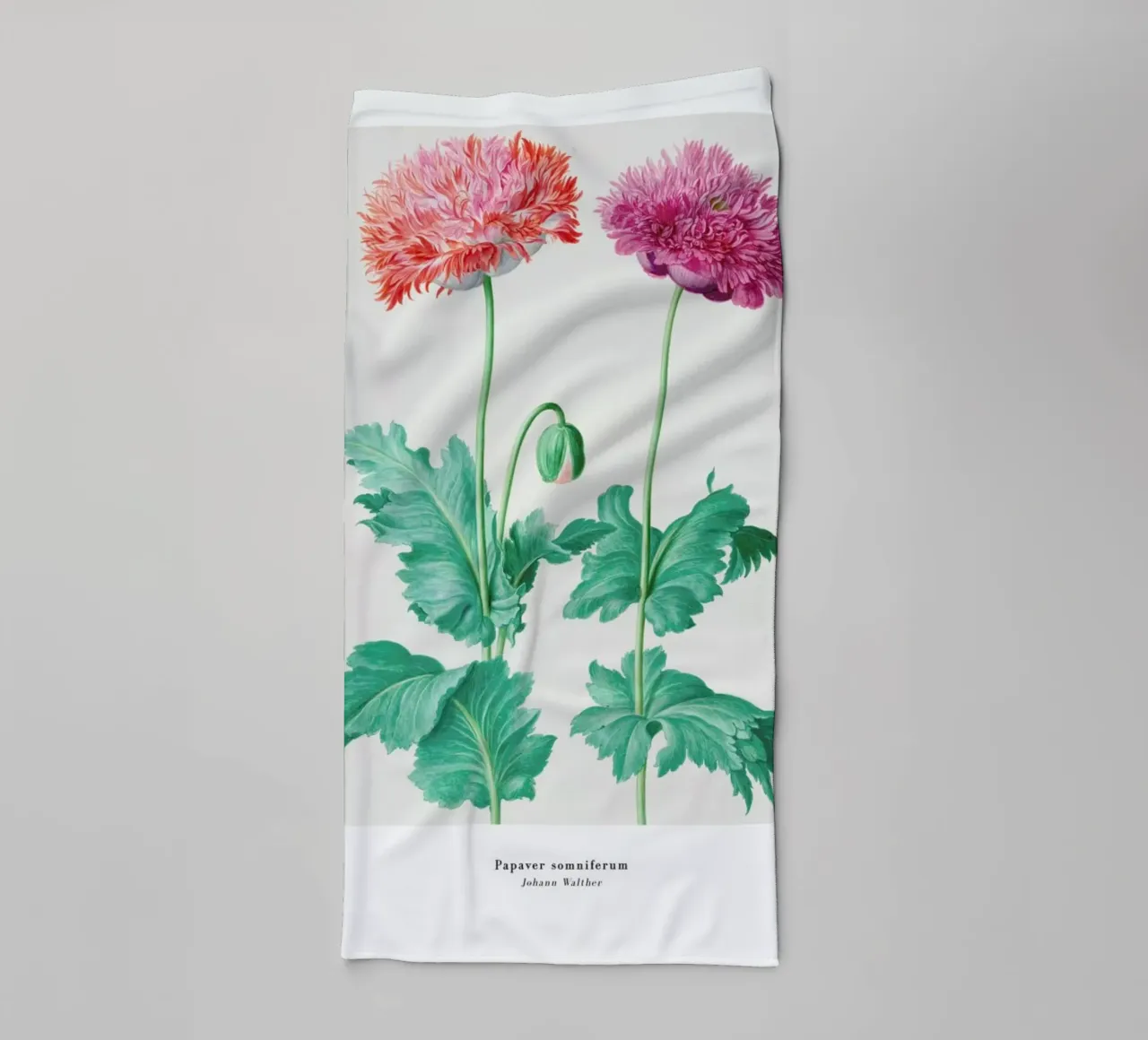 Johann Walther - Papaver Somniferum asciugamano da bagno da ARTOTHEK