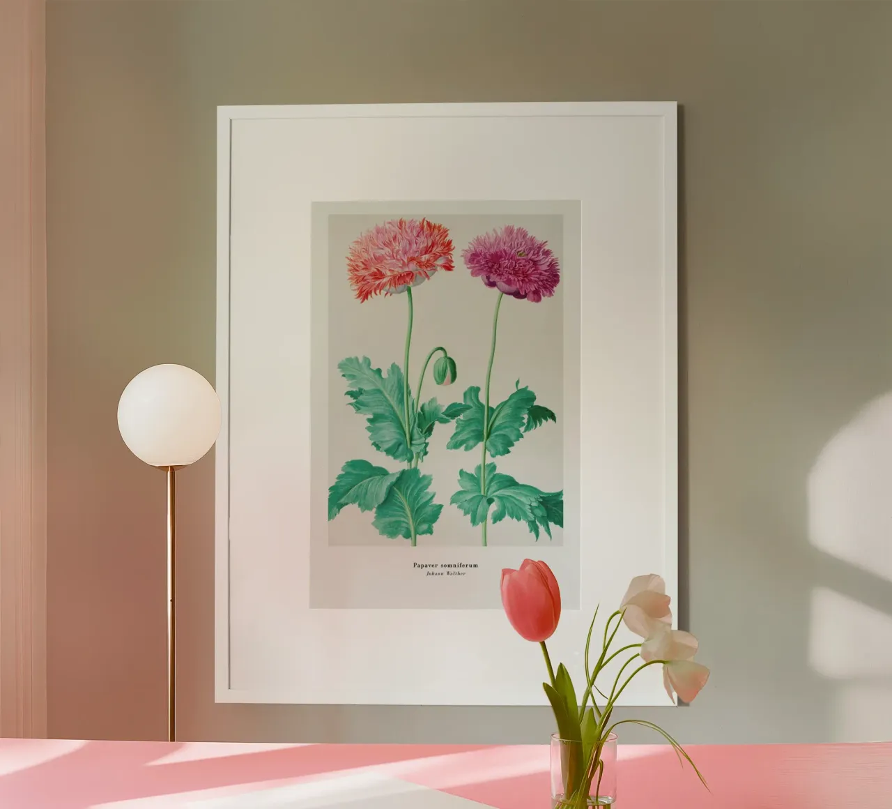 Johann Walther - Papaver Somniferum hahnemühle by ARTOTHEK