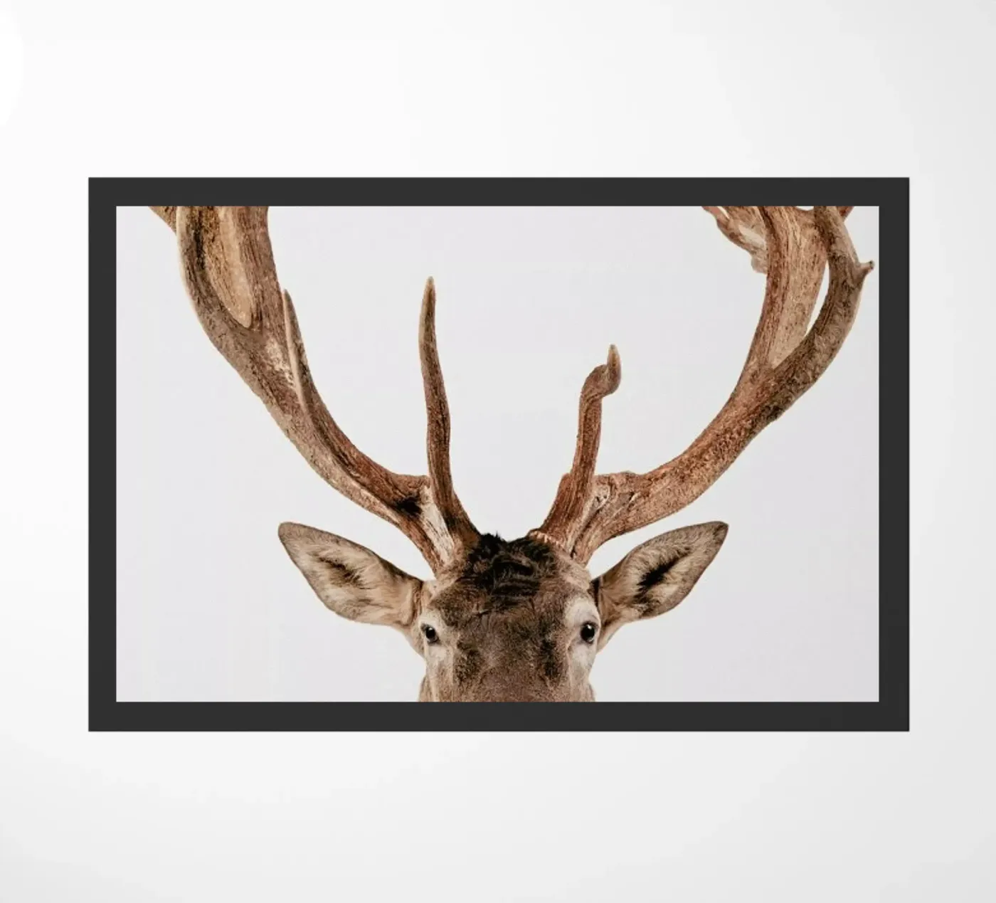 Reindeer zerbino da Paws & Claws