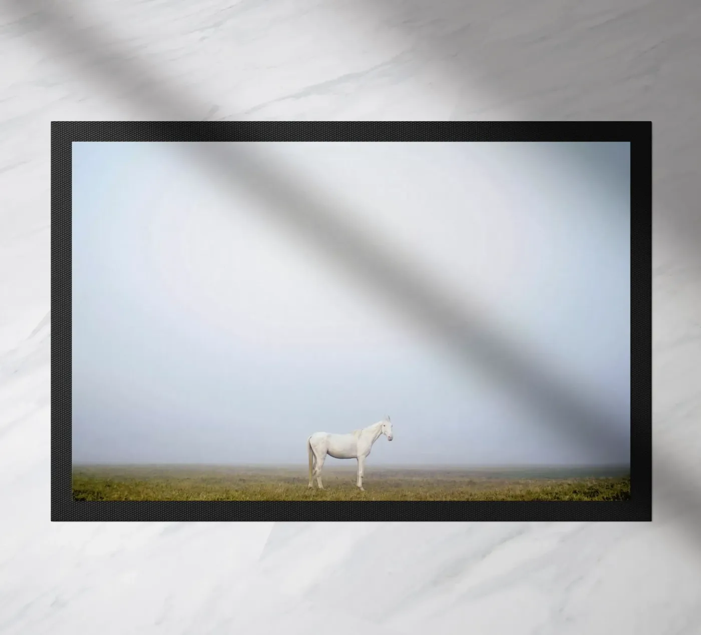 Pegasus @SubhashisHalder zerbino da EyeEm Mobile GmbH