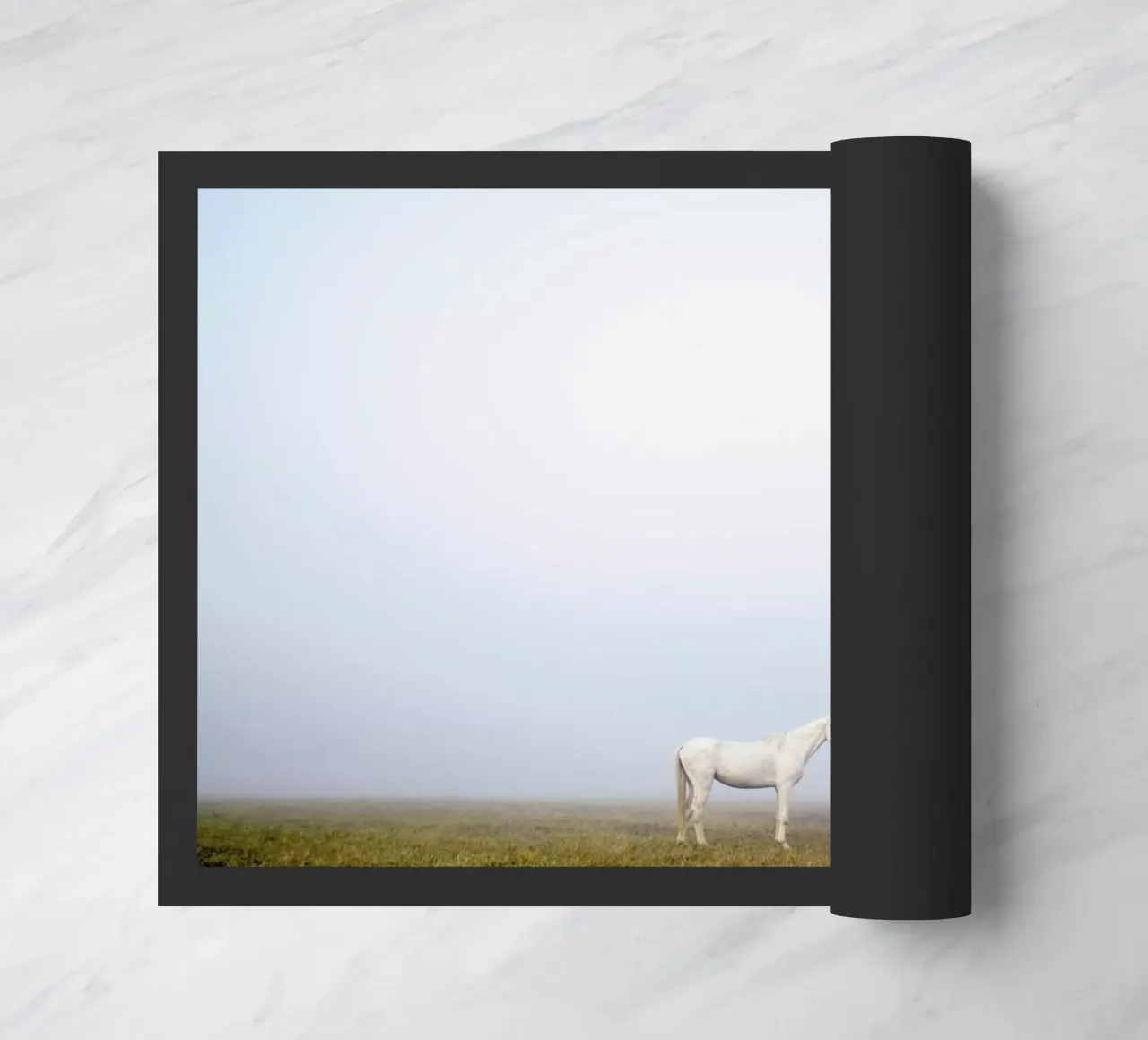 Pegasus @SubhashisHalder zerbino da EyeEm Mobile GmbH