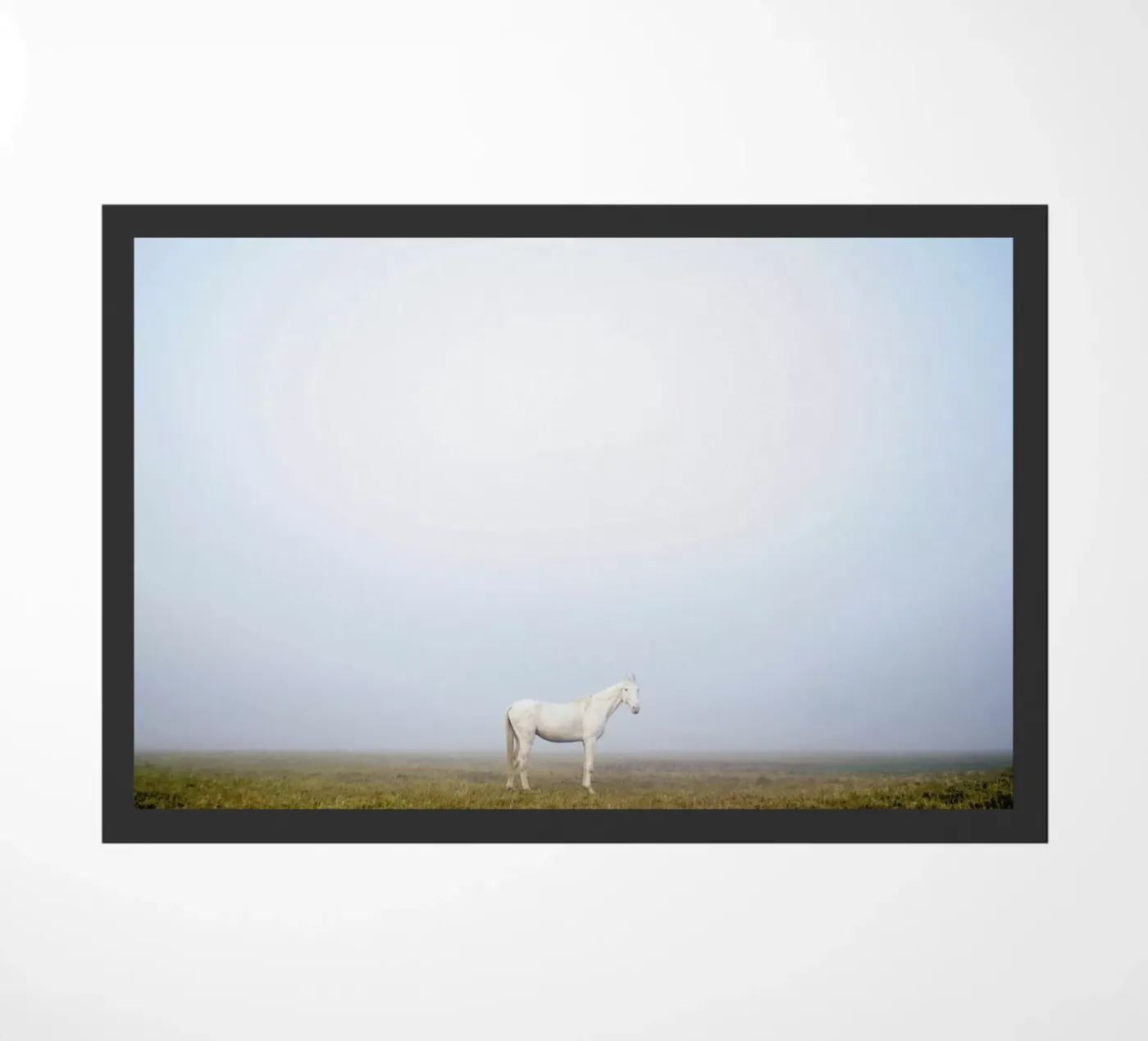 Pegasus @SubhashisHalder zerbino da EyeEm Mobile GmbH