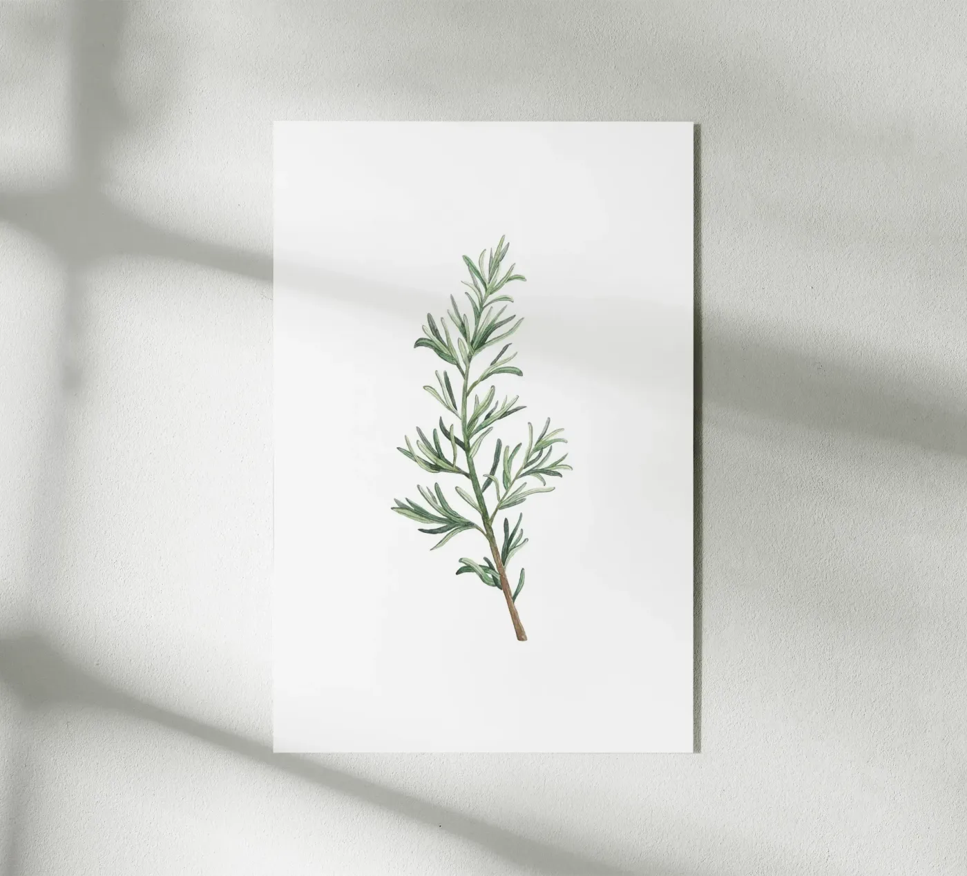 Rosemary Branch plexiglass da Palmartprints