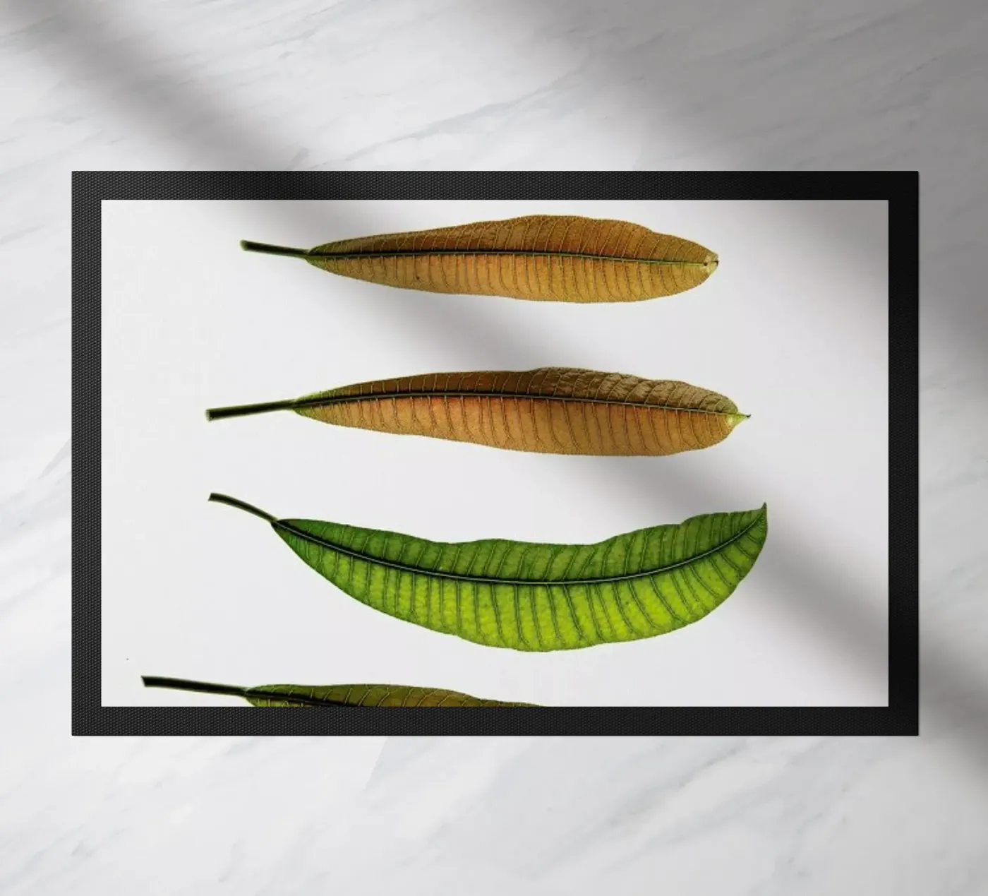 Longifolia doormat by Shot By Clint