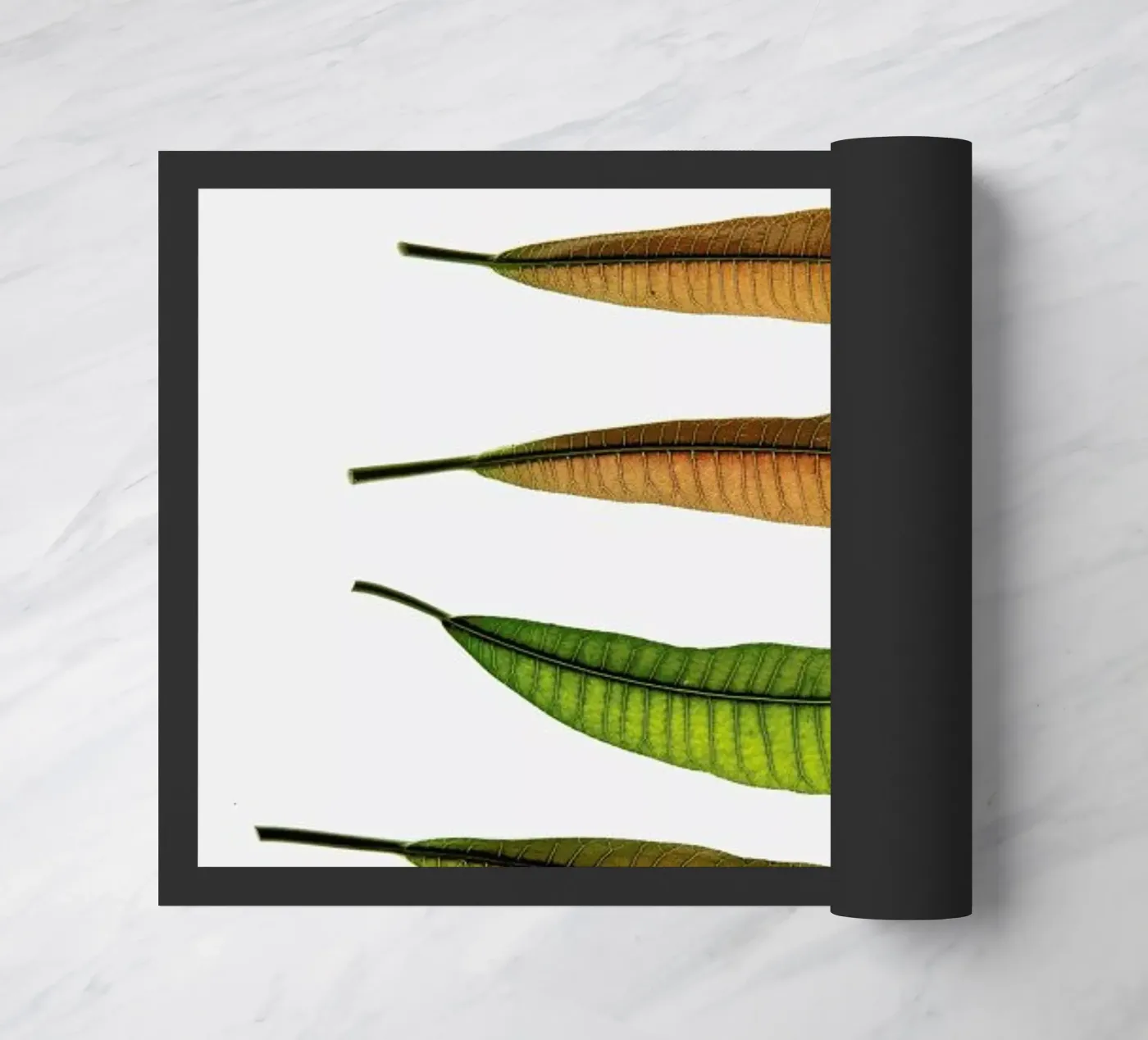 Longifolia doormat by Shot By Clint