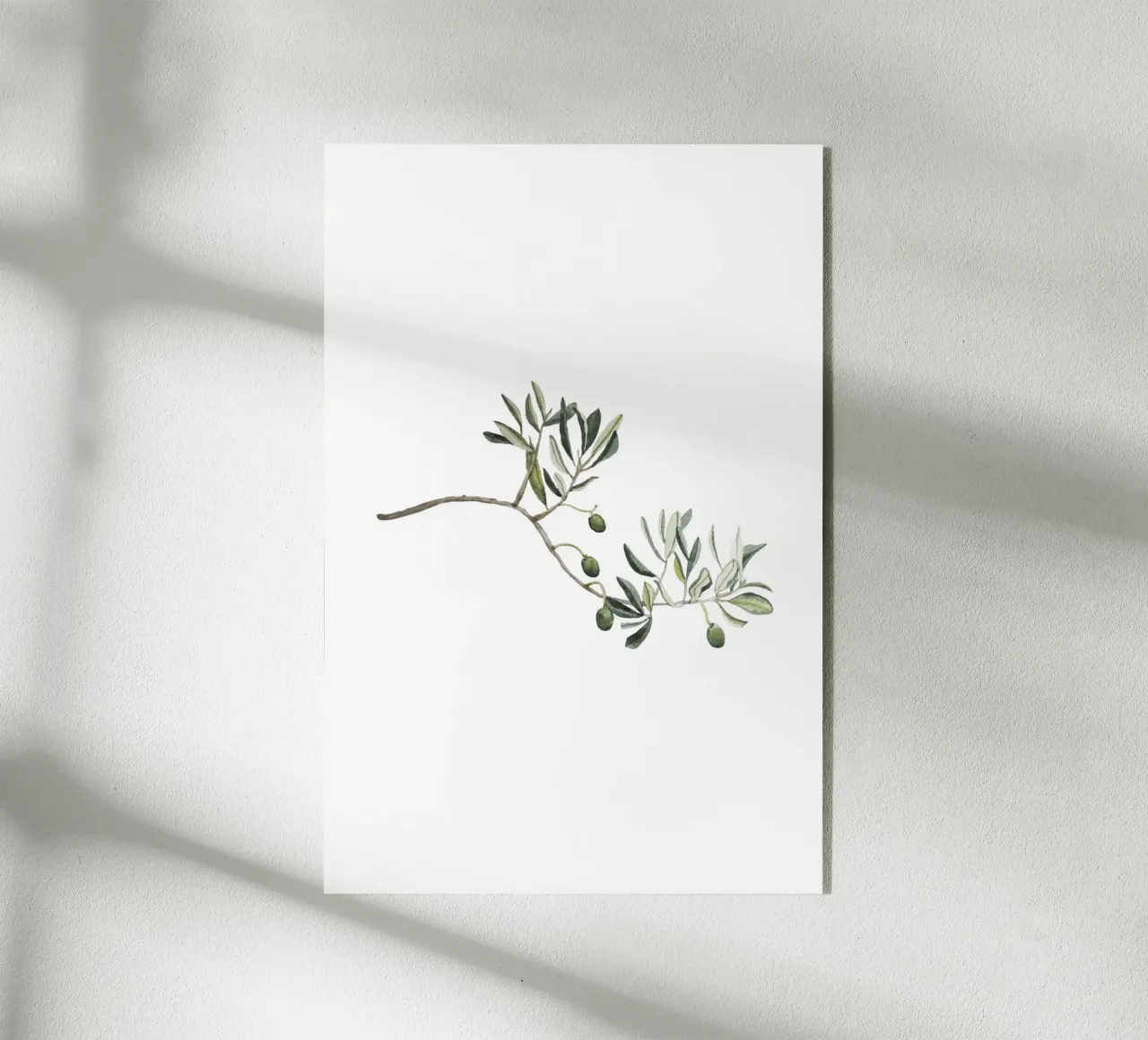 Olive Branch plexiglass da Palmartprints