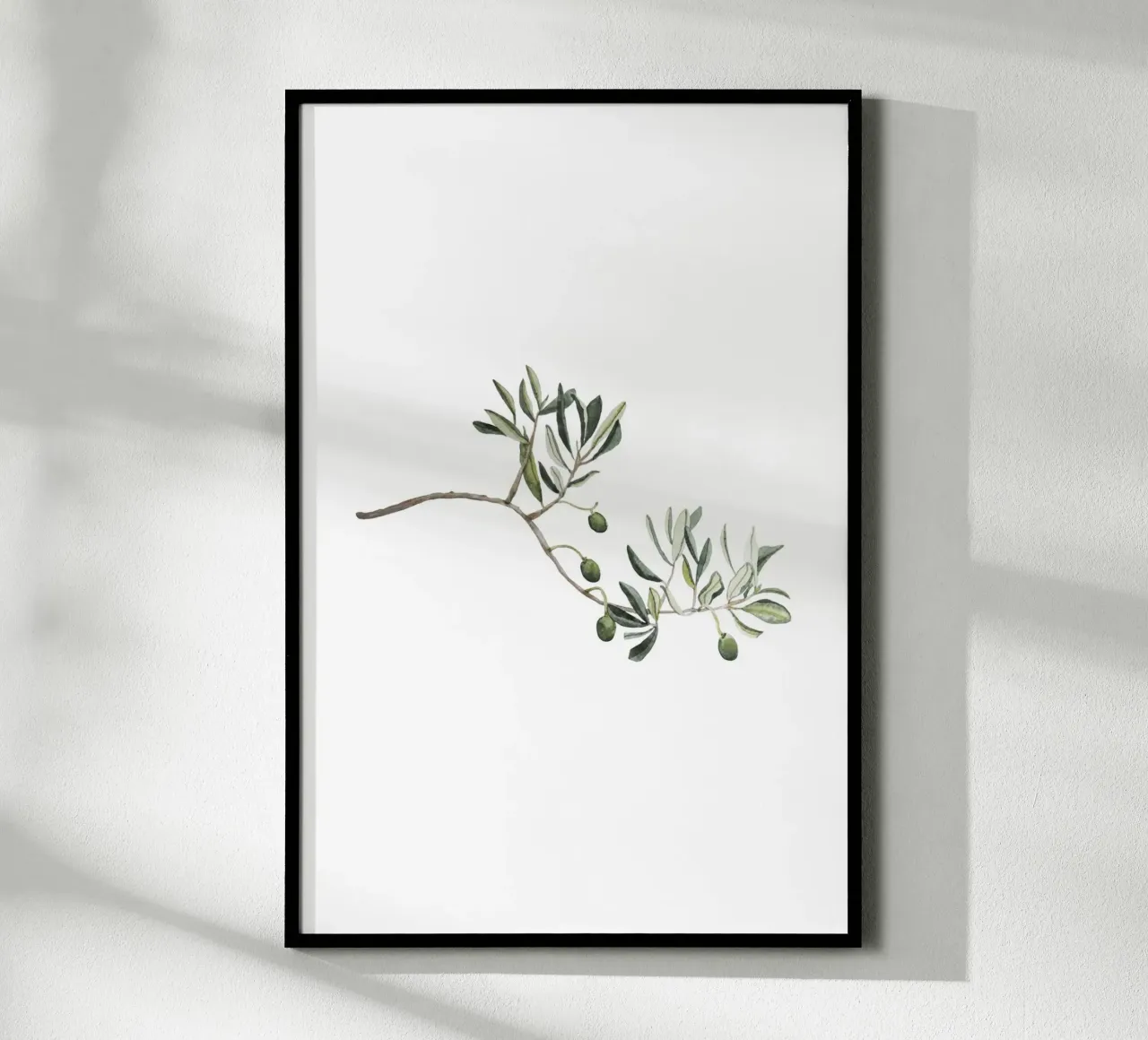 Olive Branch carta hahnemühle da karenmenzenbach