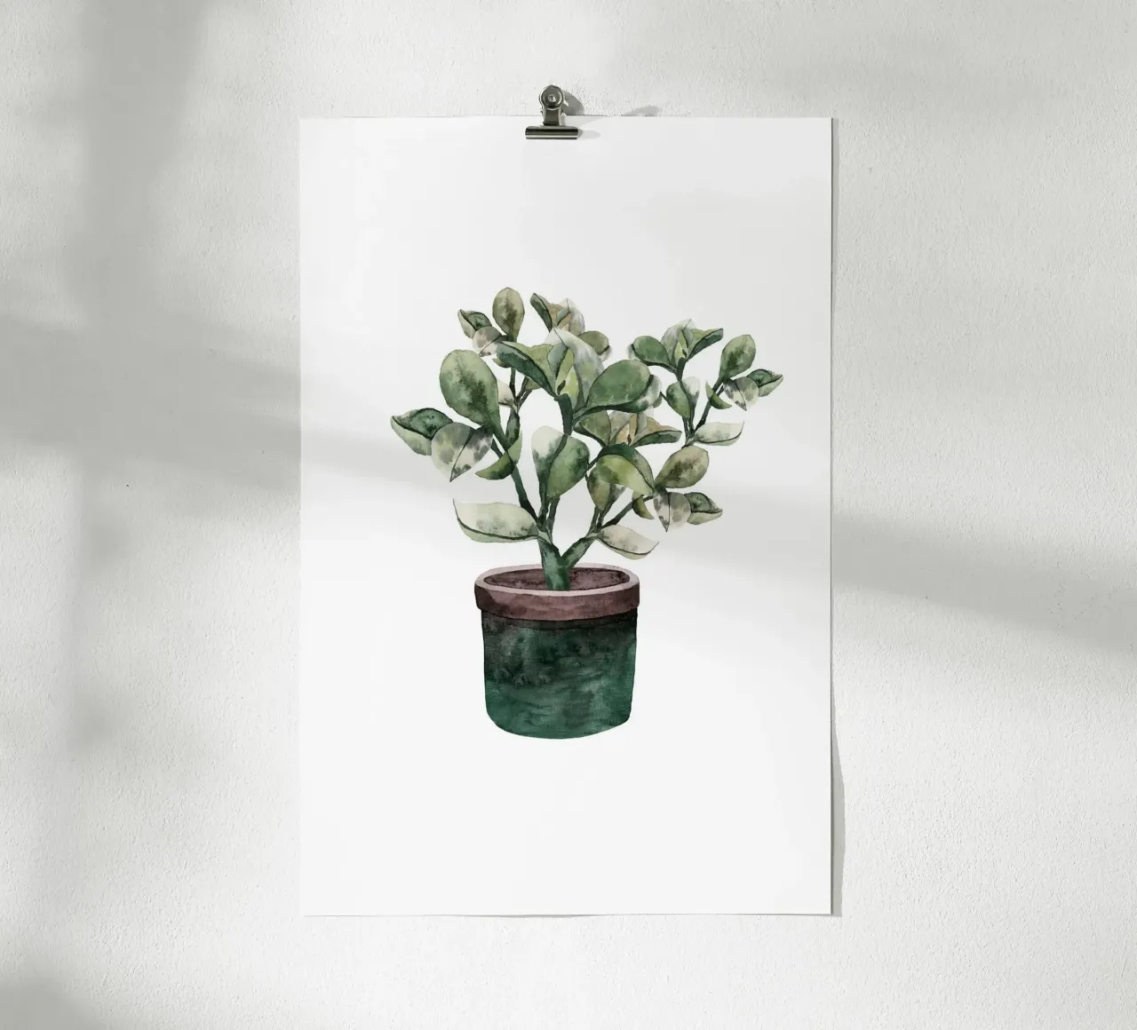 Potted Plantfriend carta hahnemühle da karenmenzenbach