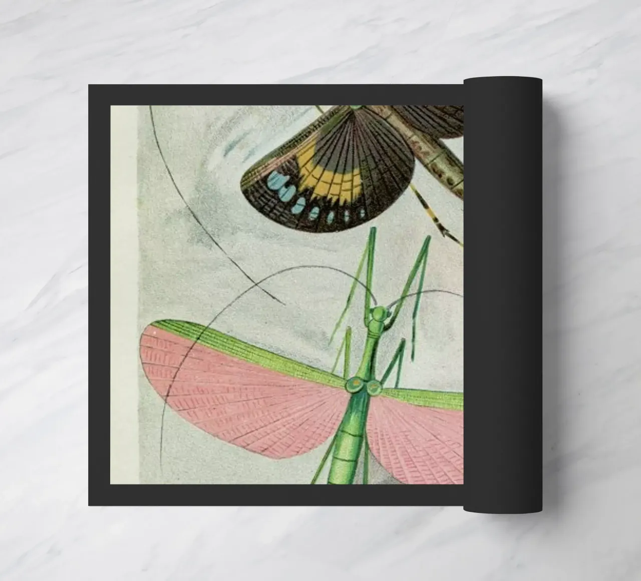 Winged Insects zerbino da Flora & Fauna