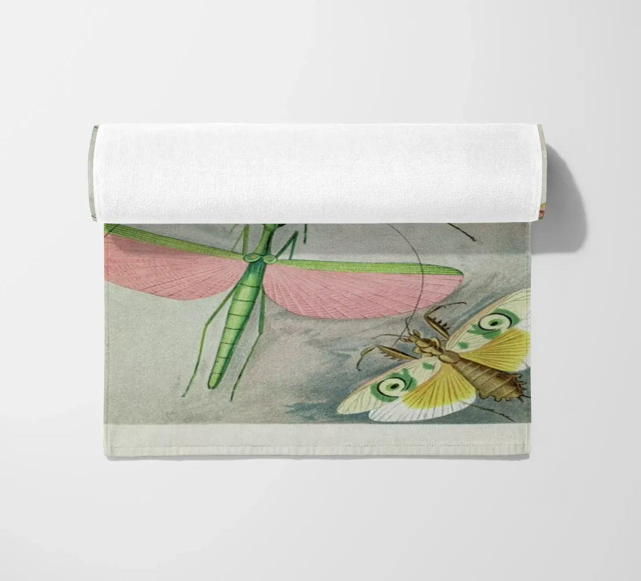 Winged Insects telo mare da Flora & Fauna