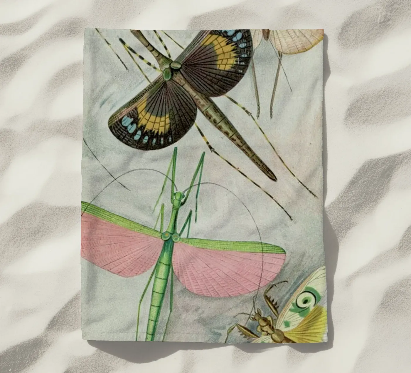 Winged Insects telo mare da Flora & Fauna