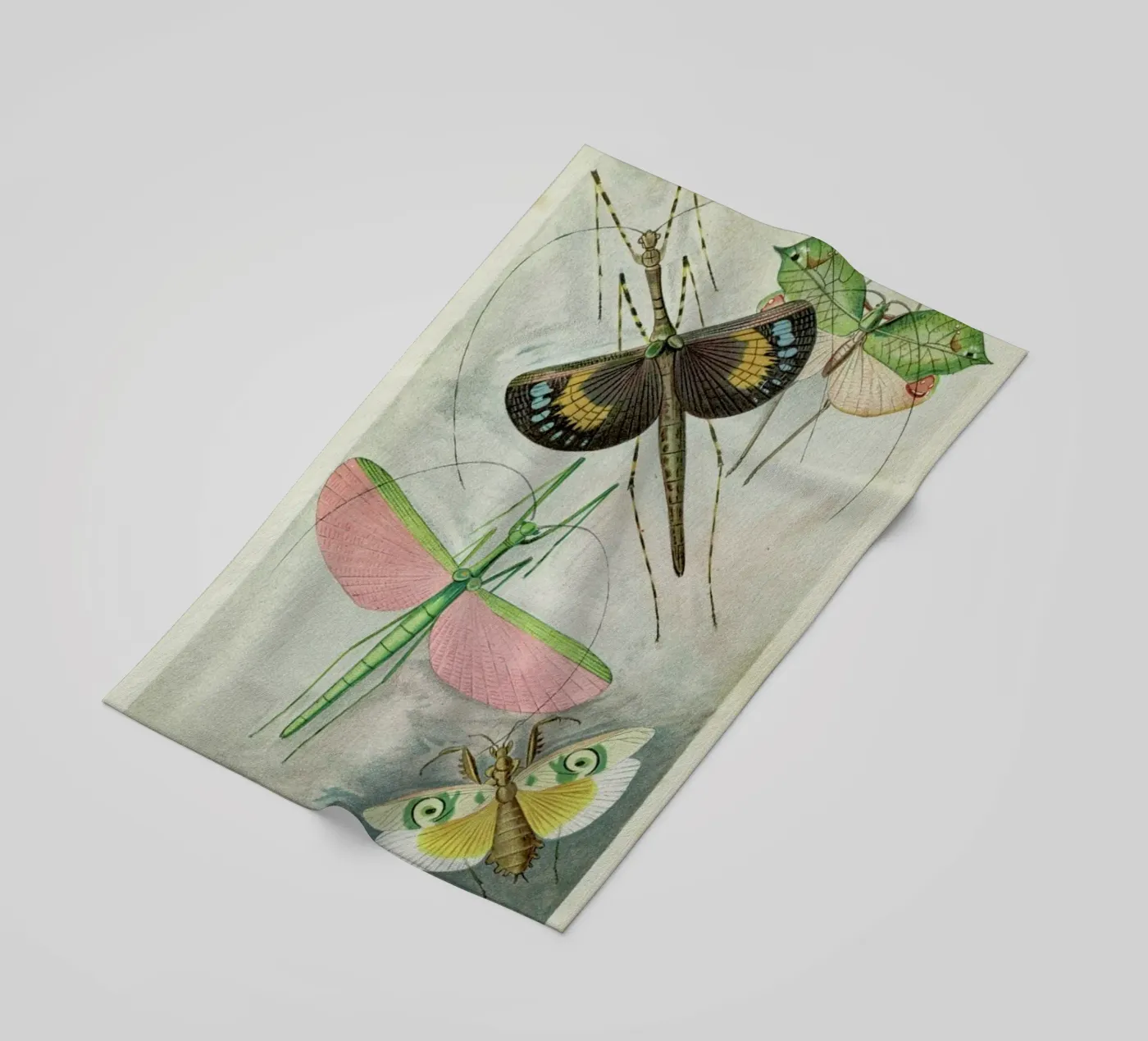 Winged Insects telo mare da Flora & Fauna