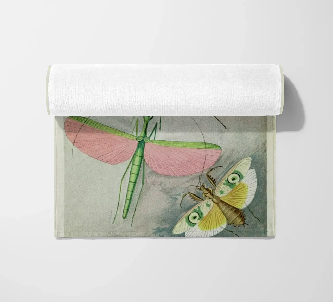 Winged Insects telo mare da Flora & Fauna