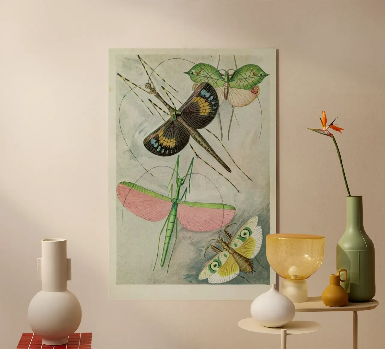 Winged Insects plexiglass da Flora & Fauna