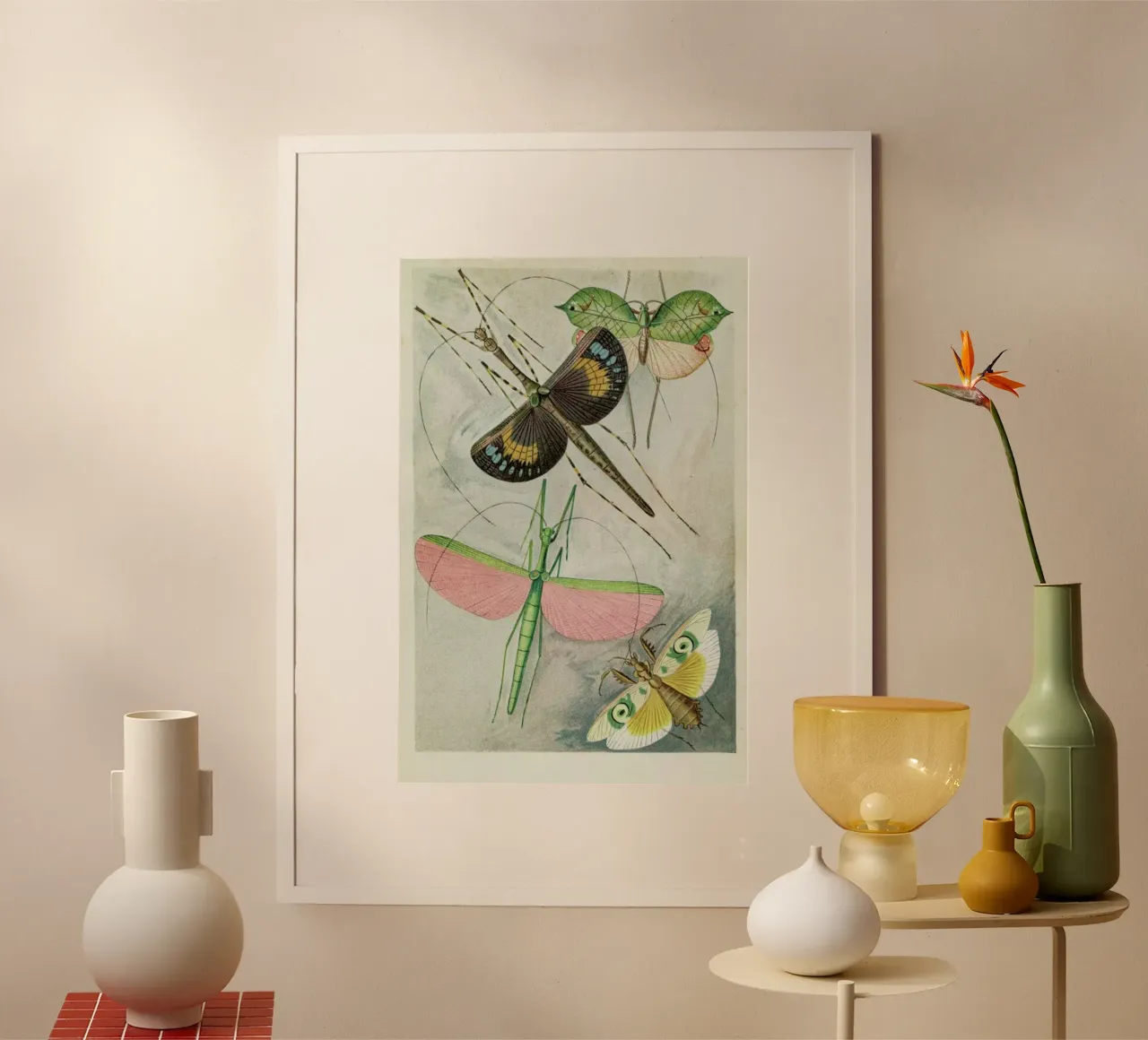 Winged Insects poster da Flora & Fauna