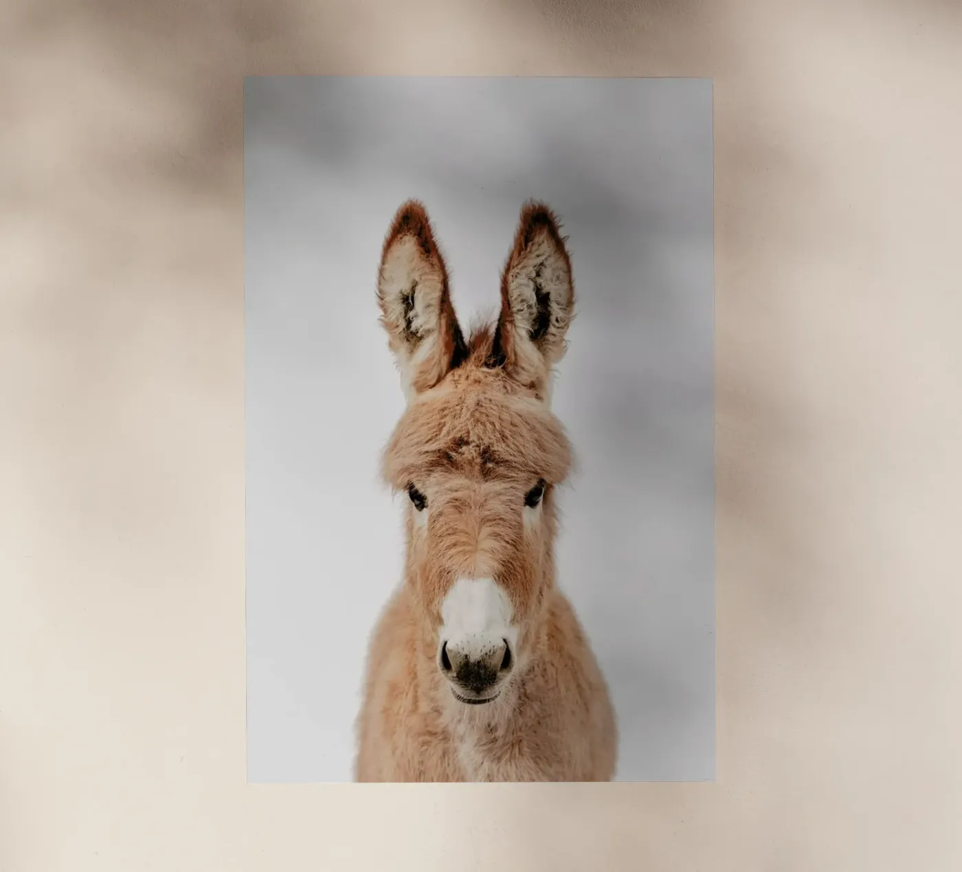 Donkey backlit folie van Paws & Claws