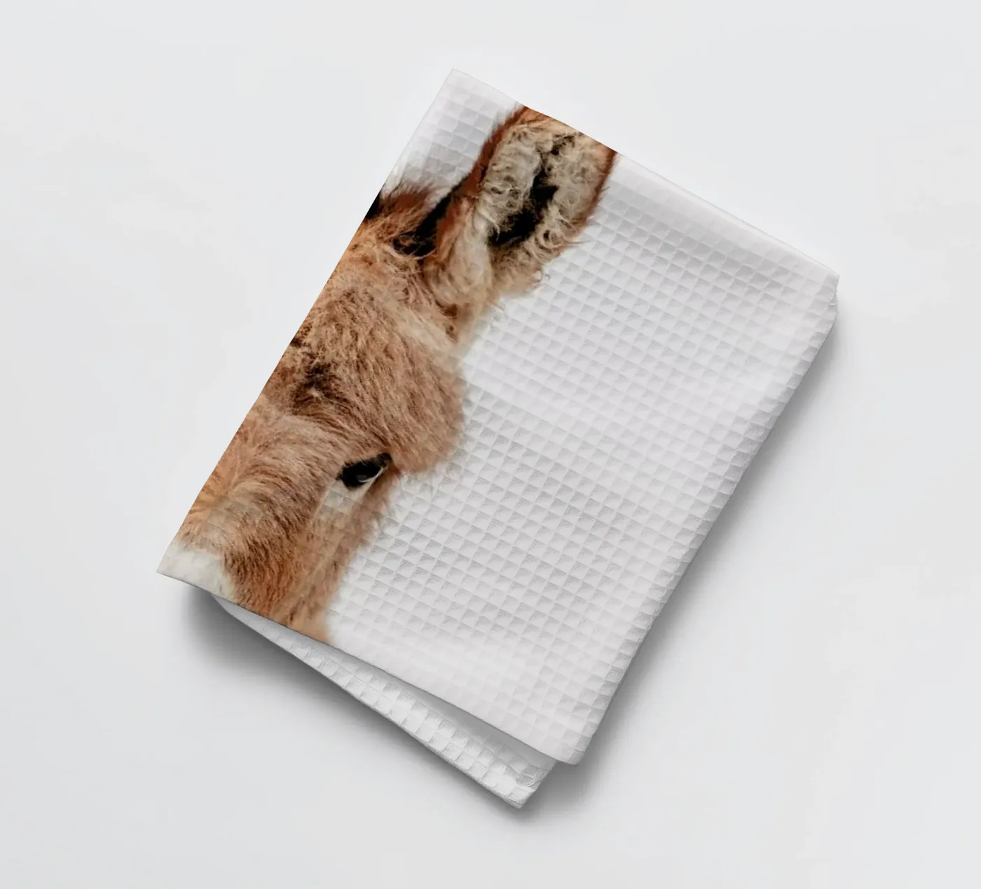 Donkey torchon de Paws & Claws