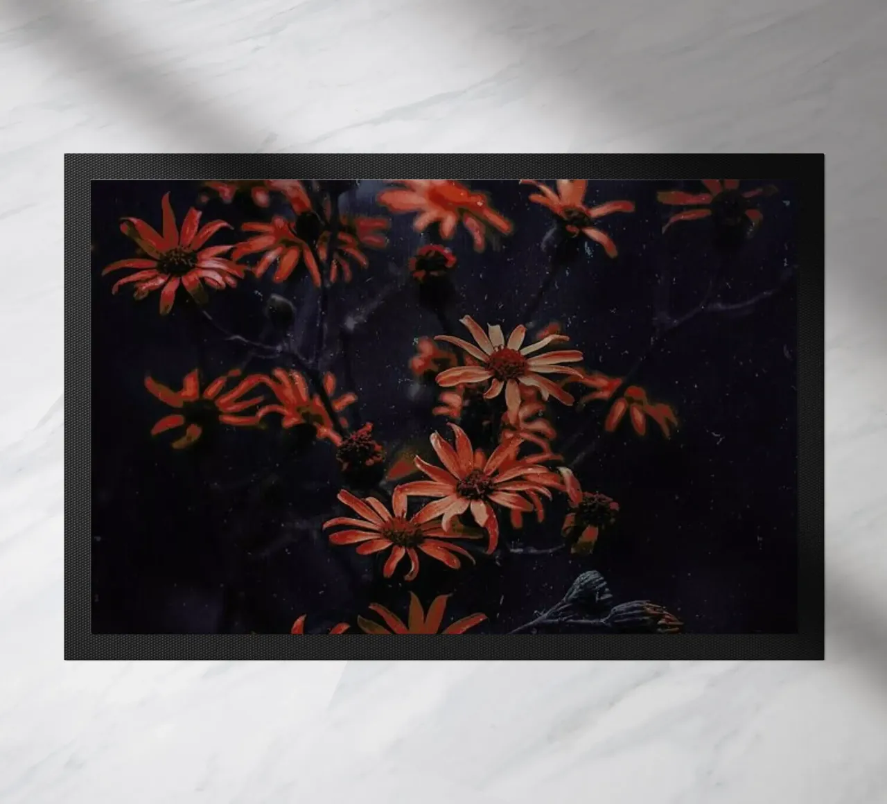 Evening Bloom @ismaeljs zerbino da EyeEm Mobile GmbH