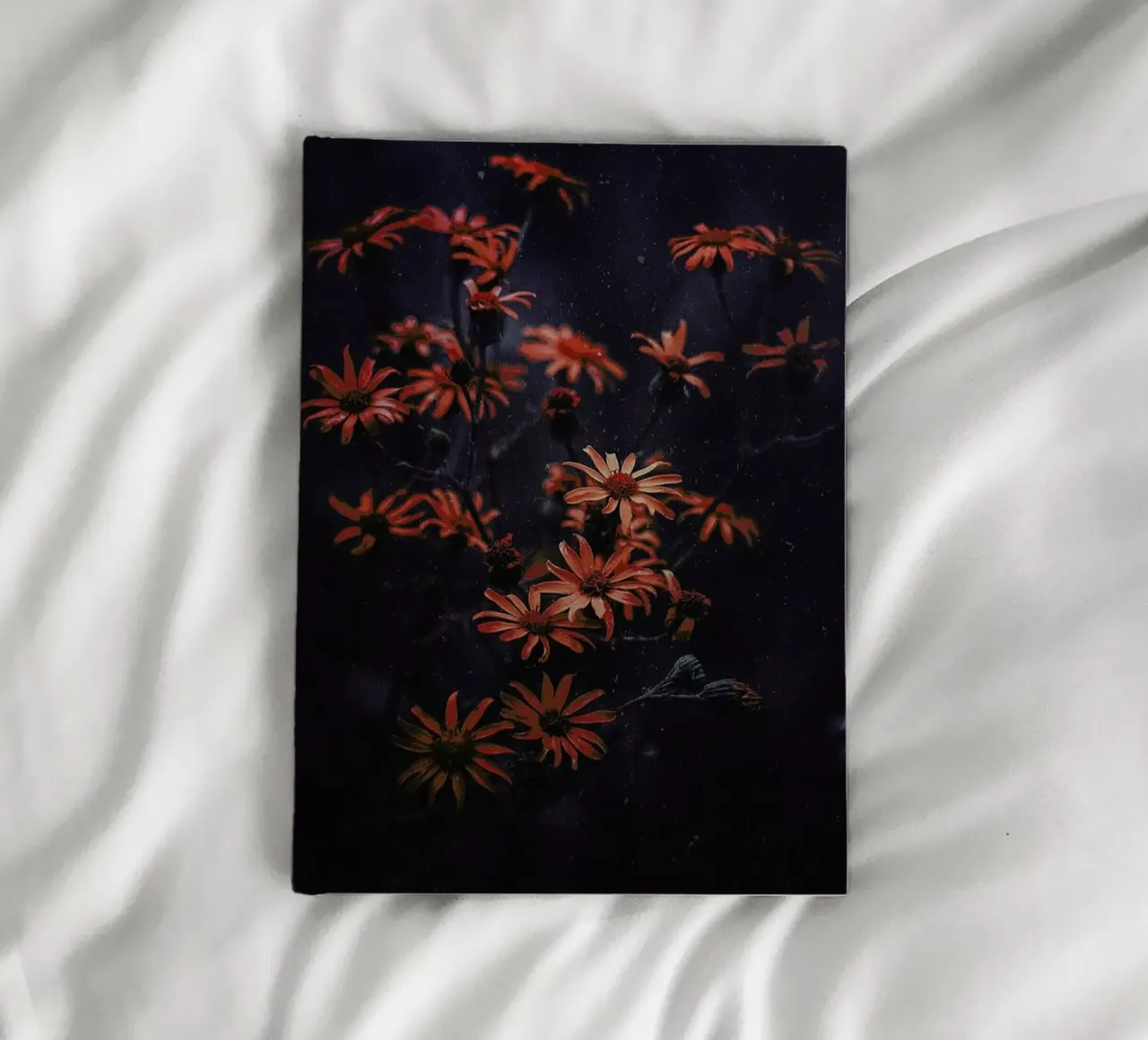 Evening Bloom @ismaeljs diario da EyeEm Mobile GmbH