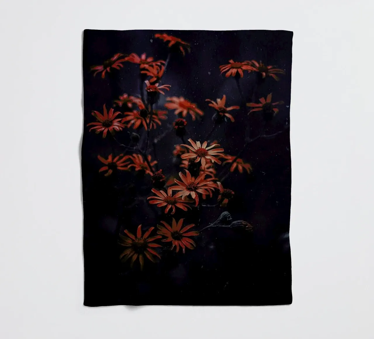 Evening Bloom @ismaeljs coperta in pile da EyeEm Mobile GmbH