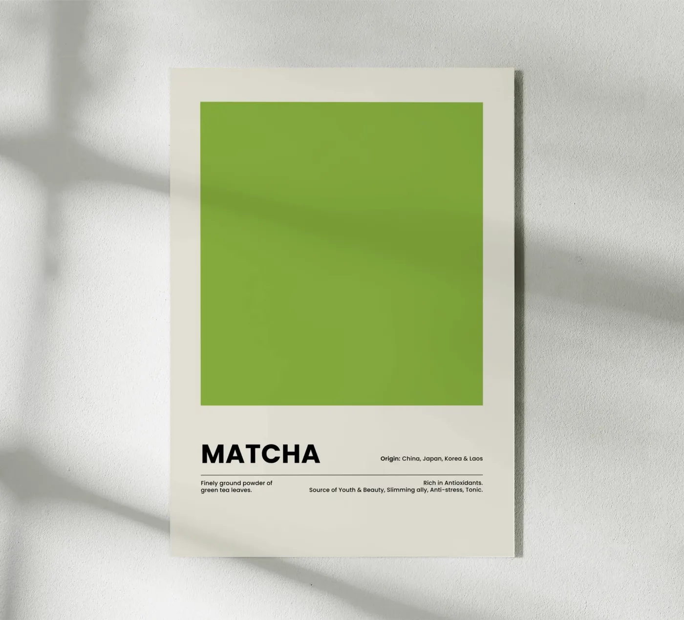 Matcha plexiglas de OkleoStudio